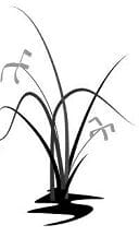 Expert Landscape Design & Construction in Chicago’s Western Suburbs